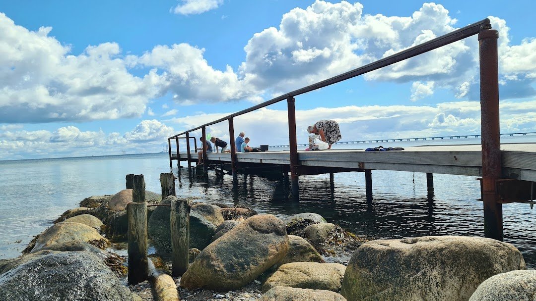 Christianslund Skoven i Nyborg