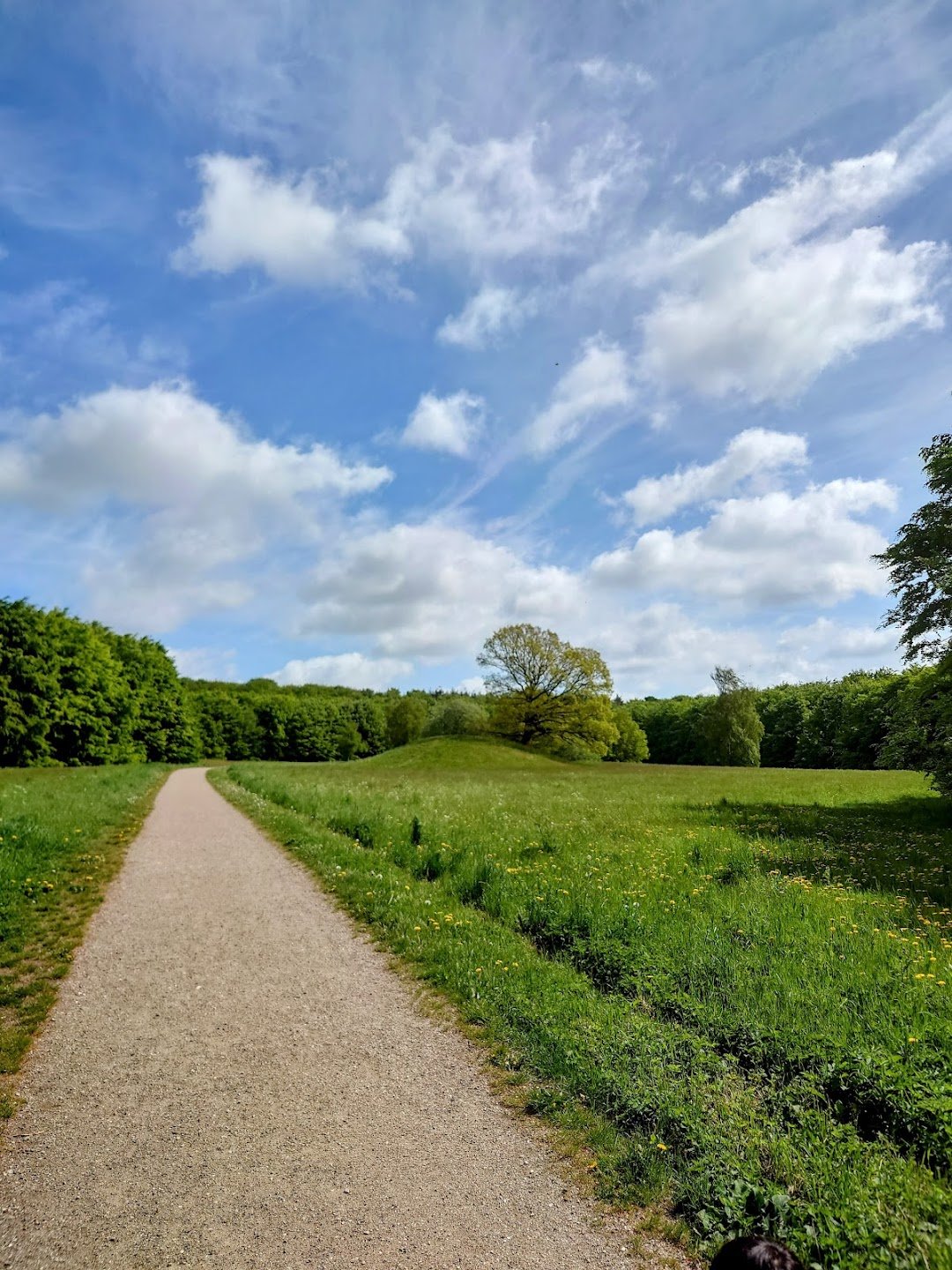 Gammel Hestehave i Svendborg