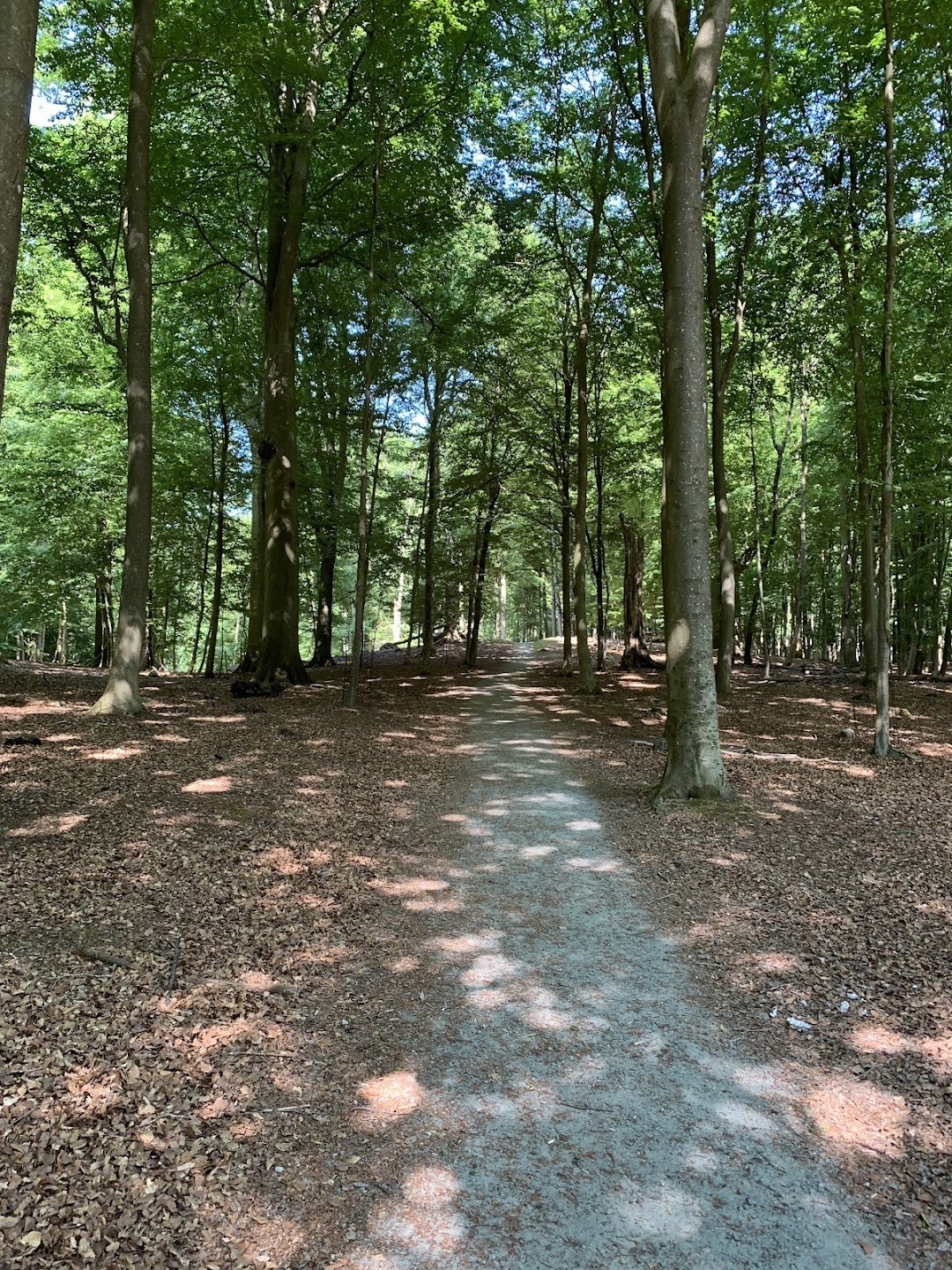 Hertjes Park in Vejle