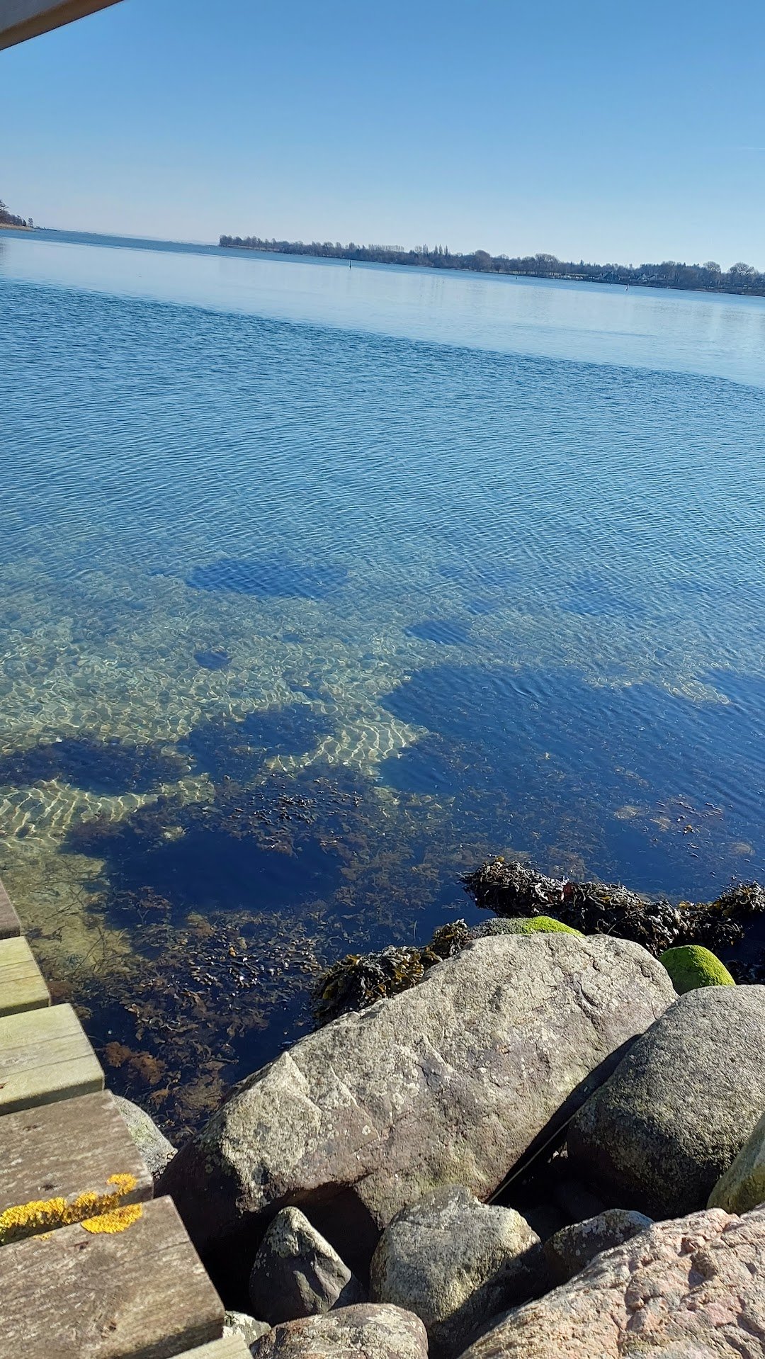 Molen, Bj&oslash;rnemosvej i Svendborg