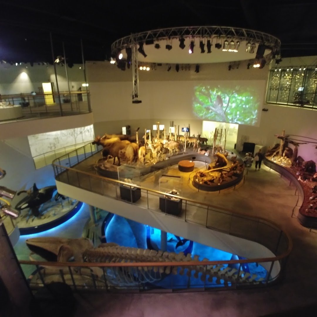 Naturama i Svendborg