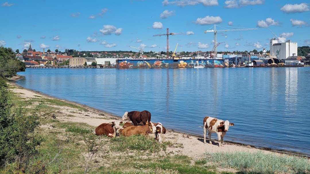 Skansen i Svendborg