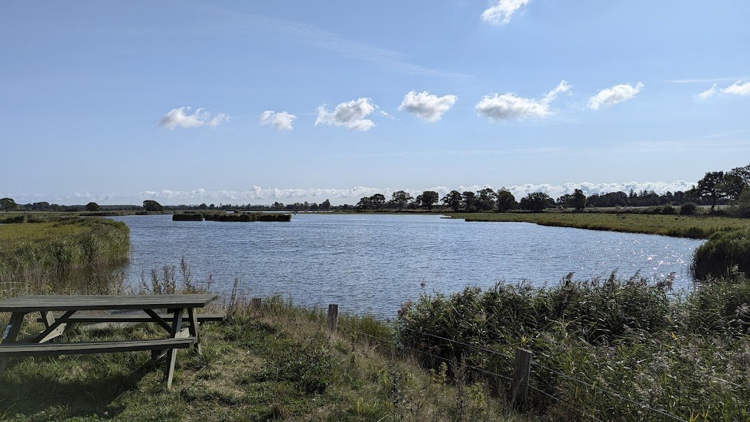 Vorn&aelig;s havn i Svendborg