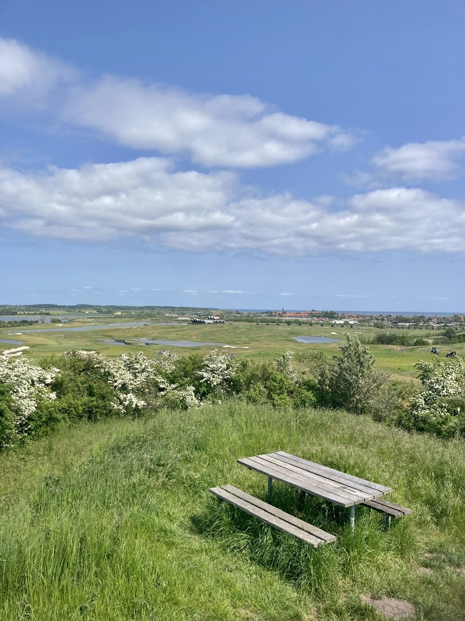 Svaneh&oslash;j p&aring; Drigstrup Sognesti in Kerteminde