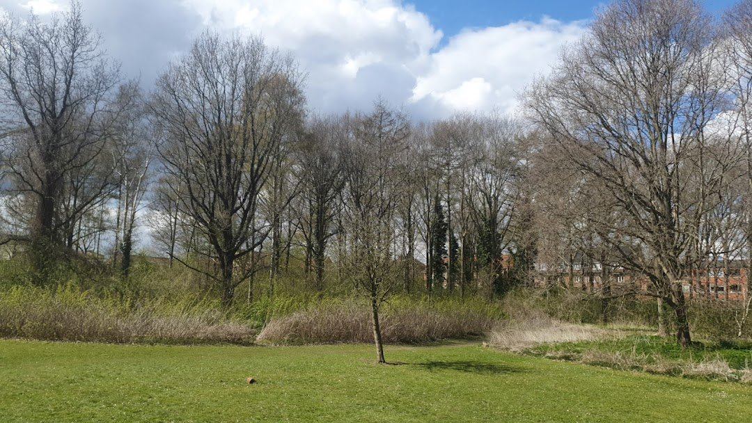 Astrup Mose in Odense