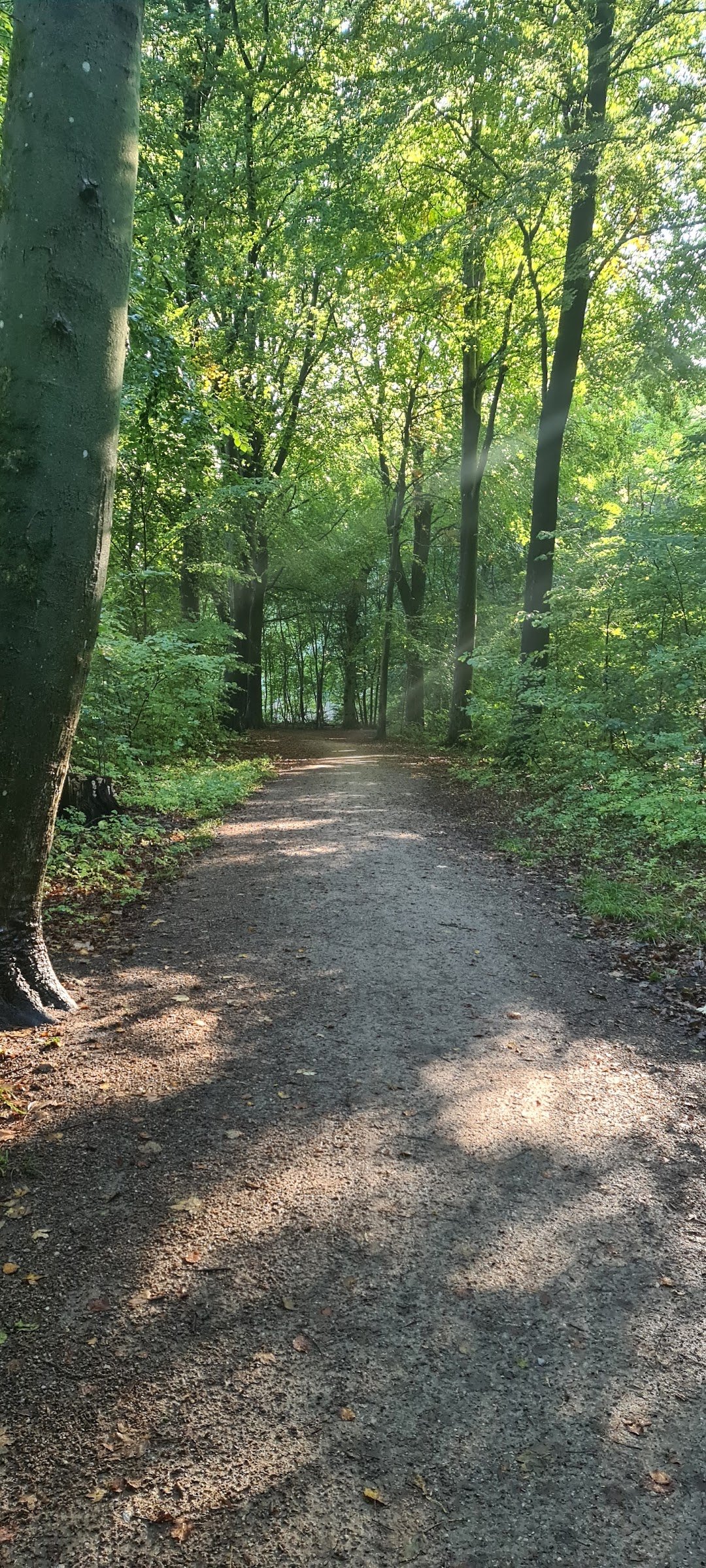 Sejerskov i Odense