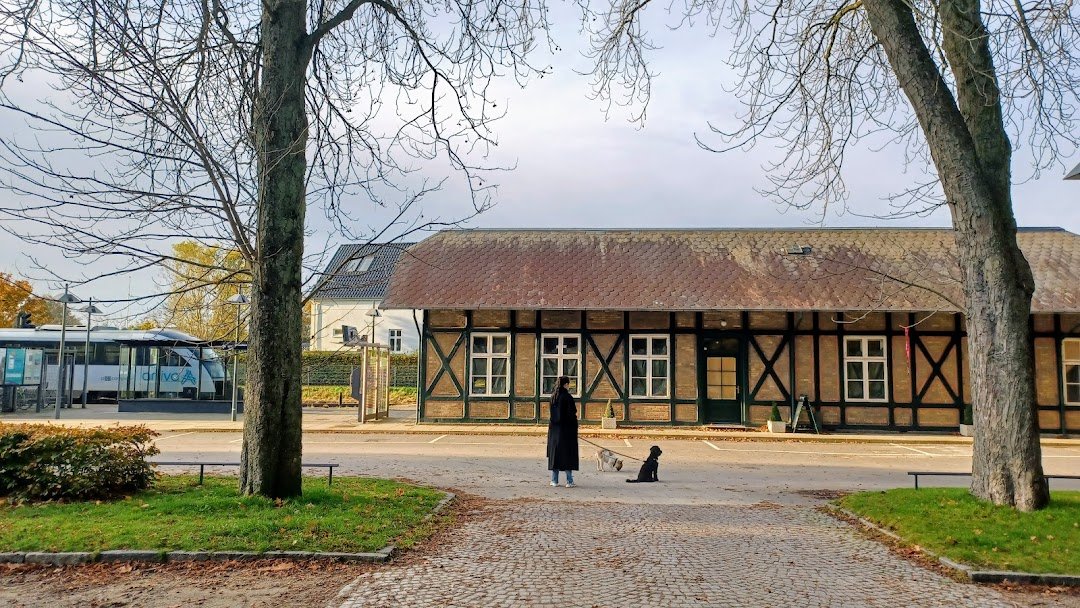 Fruens B&oslash;ge Station i Odense