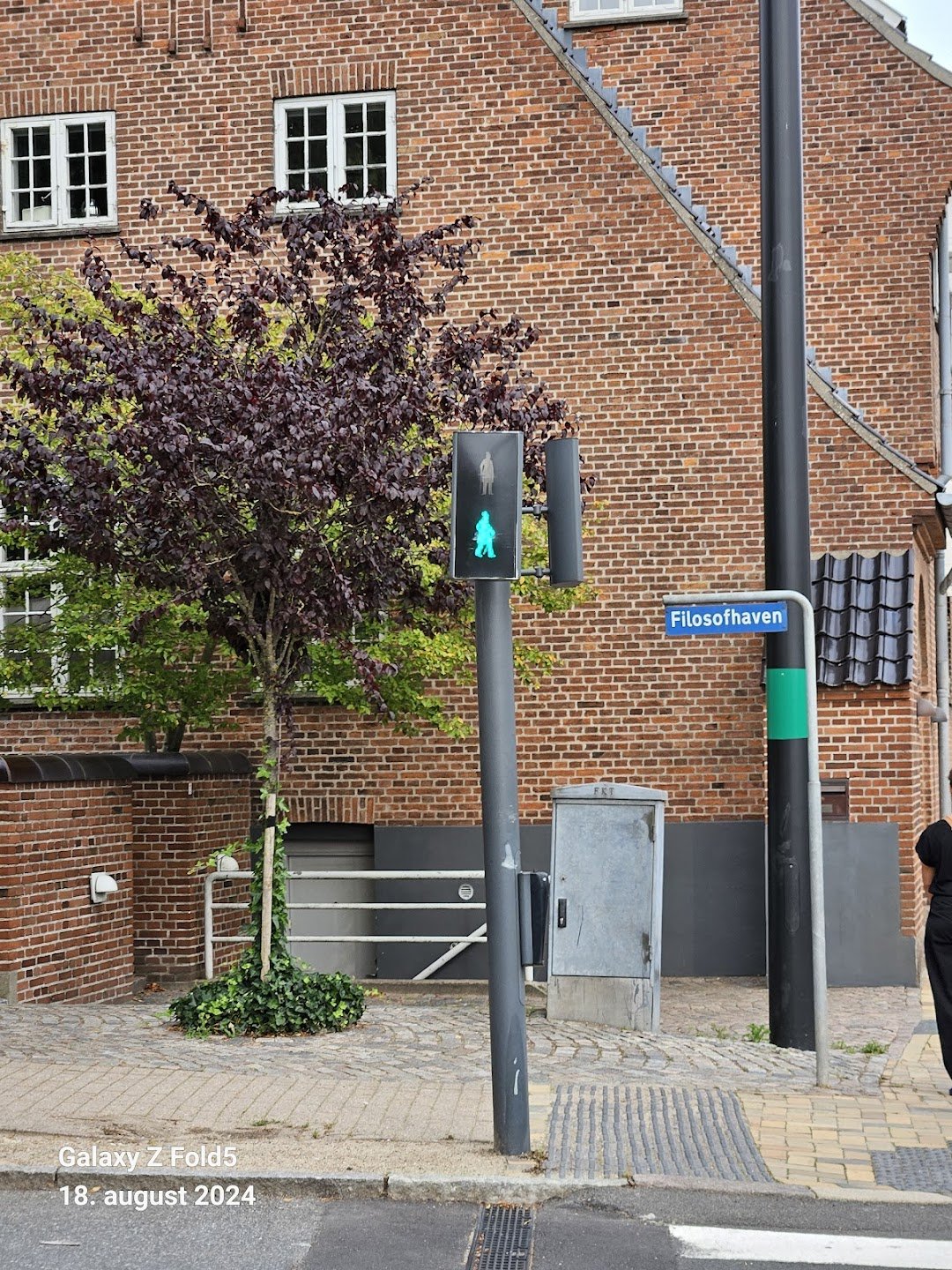 Filosofhaven.dk i Odense