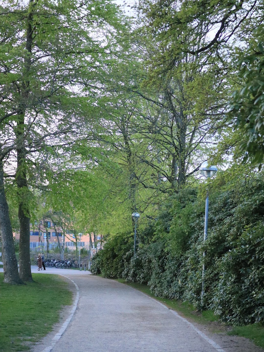 Kildeparken i Aalborg