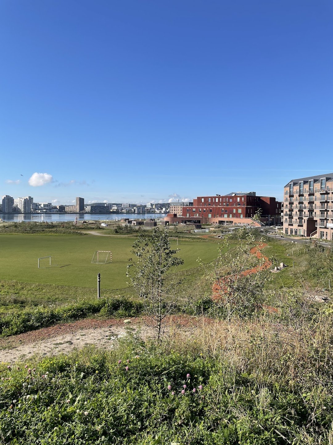 Stigsborg bakke i Aalborg
