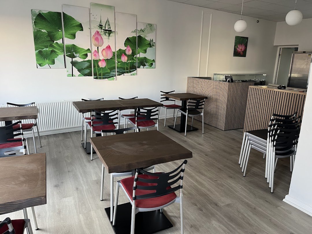 Tabaha Maya in Svendborg